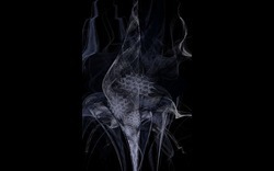 2014 12 15 Shadow Play 046-black.jpg